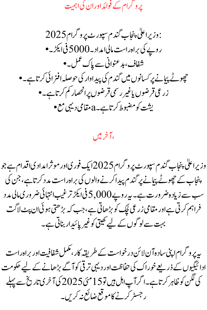 CM Punjab Wheat Support Program 2025