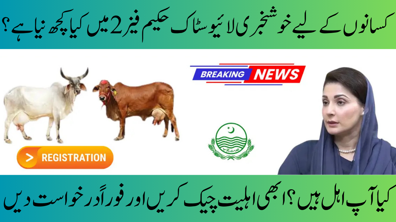 The CM Free Livestock Program Enters Phase II