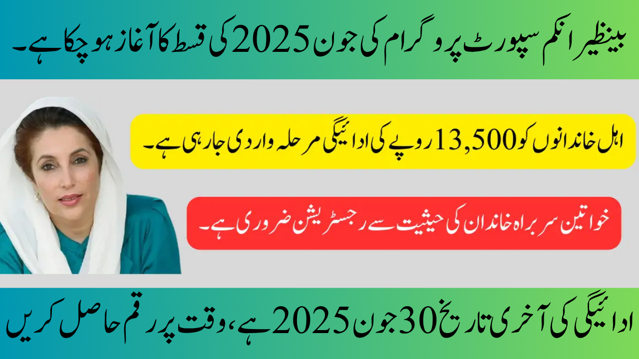 BISP 8171 Payment Check via CNIC, June 2025