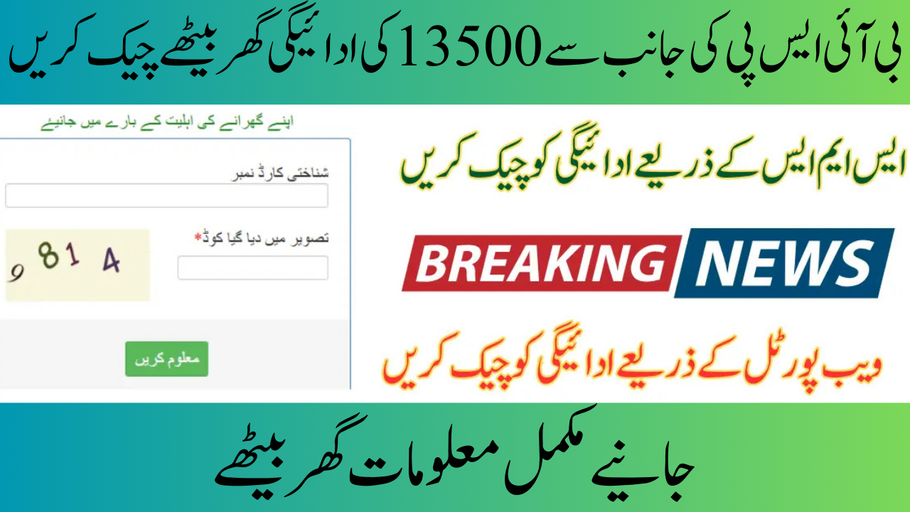 Checking 8171 BISP 13500 Payment Offline Results by SMS While Sitting at Home in 2025