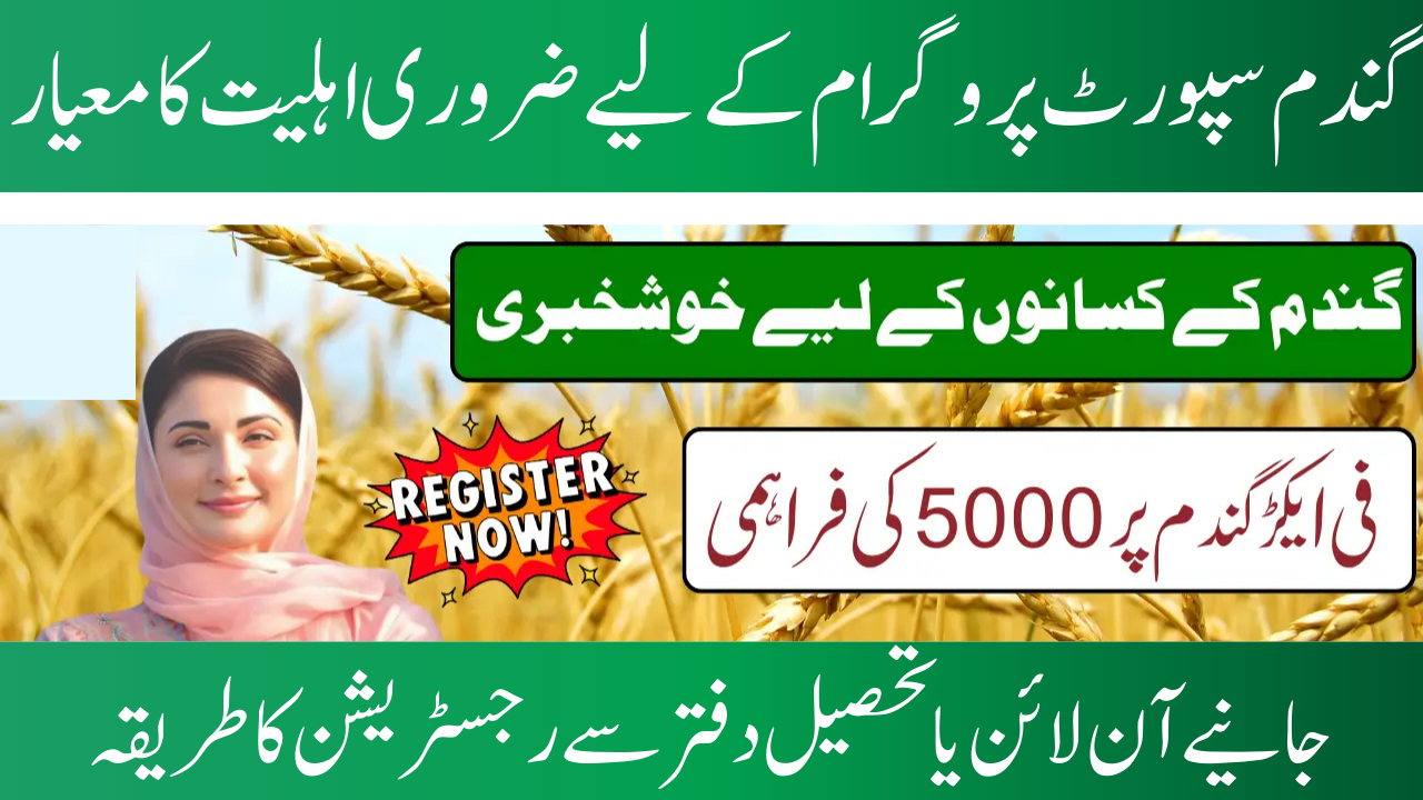 Payment for the CM Punjab Wheat Support Program